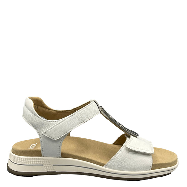 Ara Cervocalf - 1234804 - Weiss