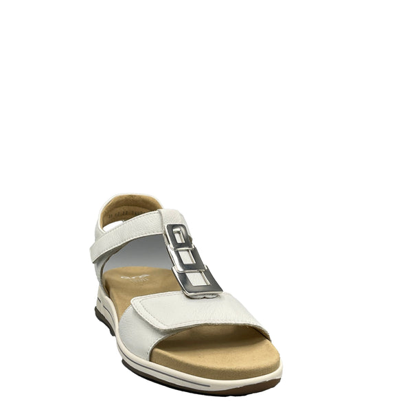 Ara Cervocalf - 1234804 - Weiss