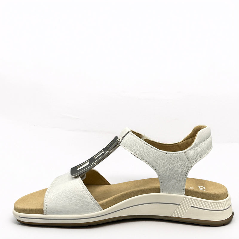 Ara Cervocalf - 1234804 - Weiss