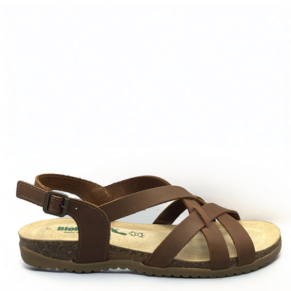 BioNatura Toronto - 34A2168 - Brandy
