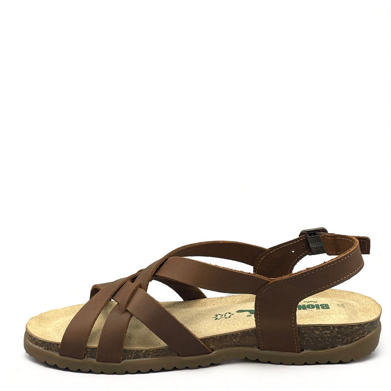 BioNatura Toronto - 34A2168 - Brandy