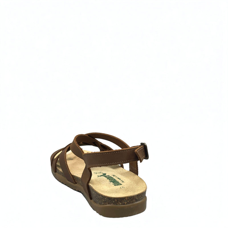 BioNatura Toronto - 34A2168 - Brandy