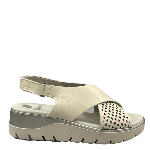 CallagHan Malory - 26508 - Ghiaccio