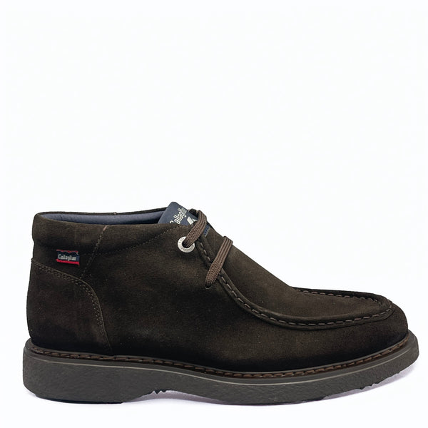 CallagHan ANTE - 12307 - Marrone