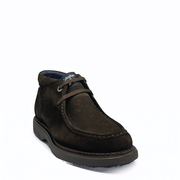 CallagHan ANTE - 12307 - Marrone