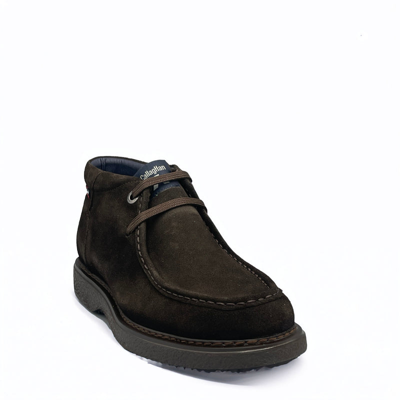 CallagHan ANTE - 12307 - Marrone