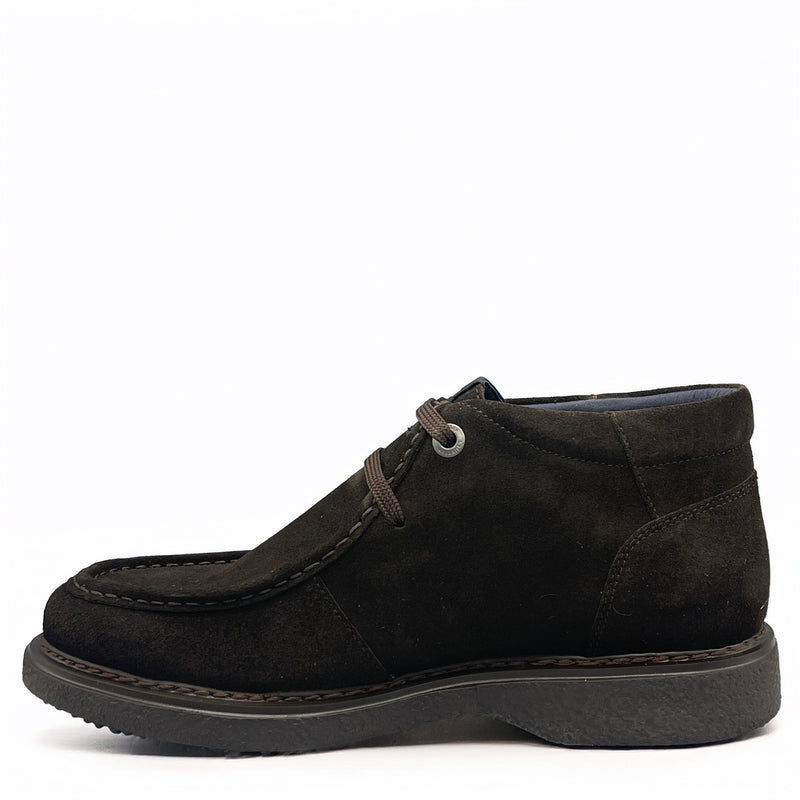 CallagHan ANTE - 12307 - Marrone