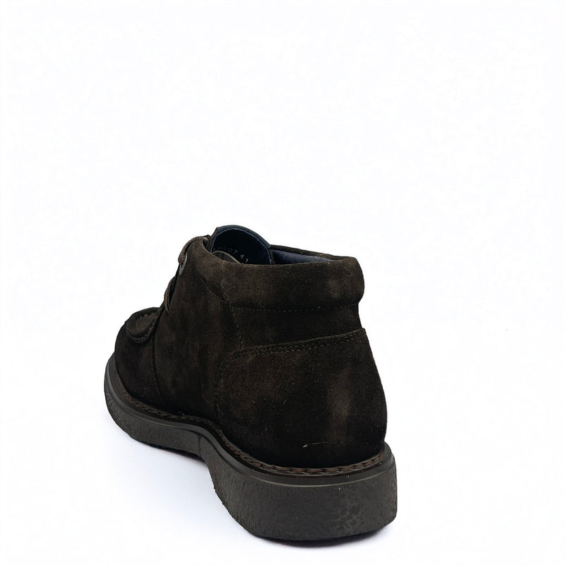 CallagHan ANTE - 12307 - Marrone