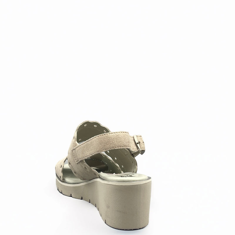 CallagHan Bugs sable - 24610 - Sabbia