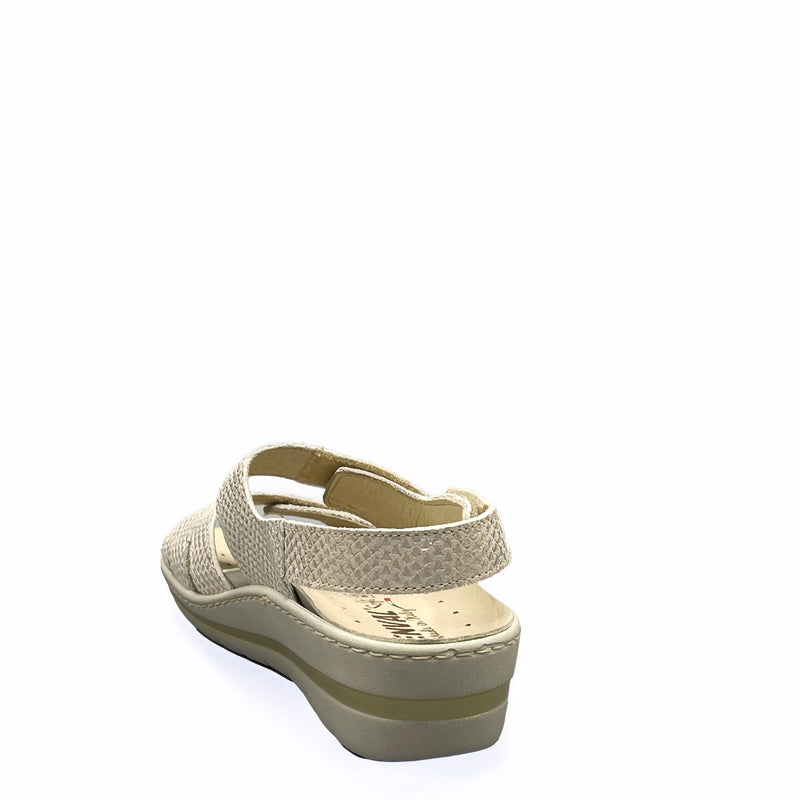 Enval SAMY - 3767322 - Platino