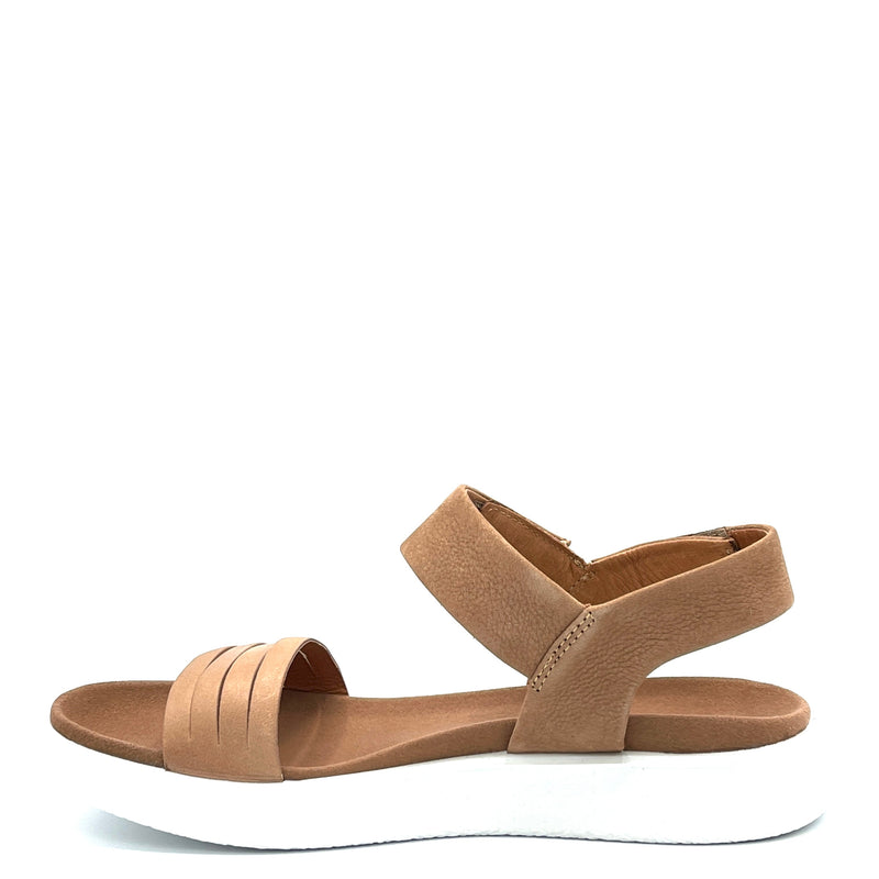 Ecco Lion cashmere - 273603 - Cuoio