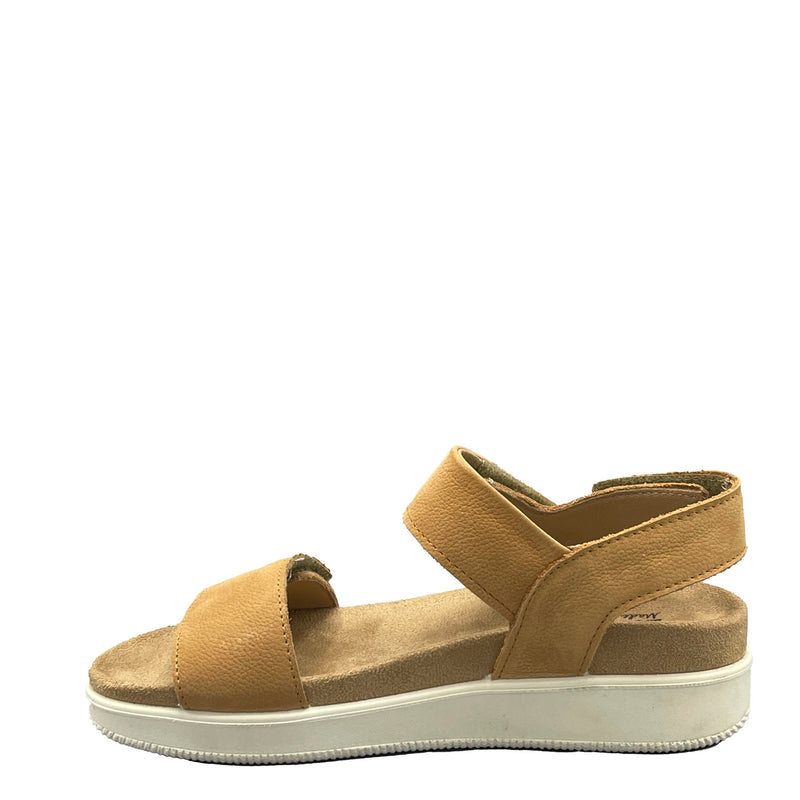 Enval Nabuk - 1776844 - Cognac