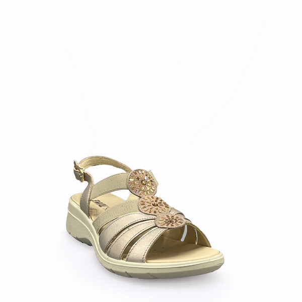 Enval CHARLOTTE CAPRA - 3764522 - Champagne