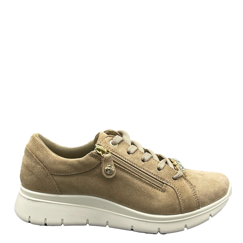 Enval Scam Super - 7767333 - Biscotto