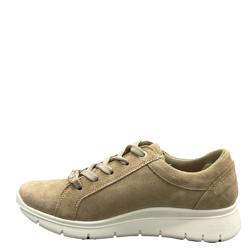 Enval Scam Super - 7767333 - Biscotto