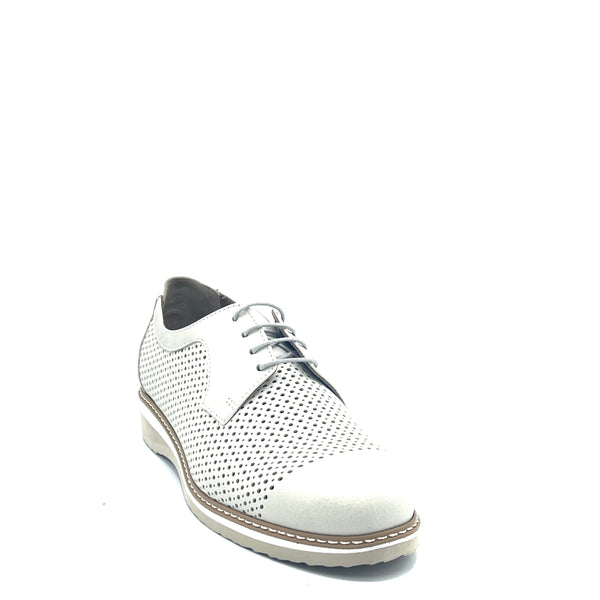 F.lli Tomasi Shirly Forato - Polvere