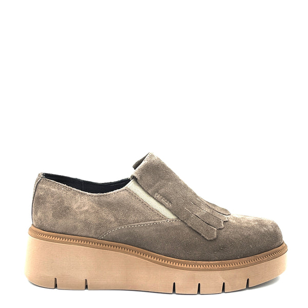 Grünland CRUX - SC546030 - Tortora