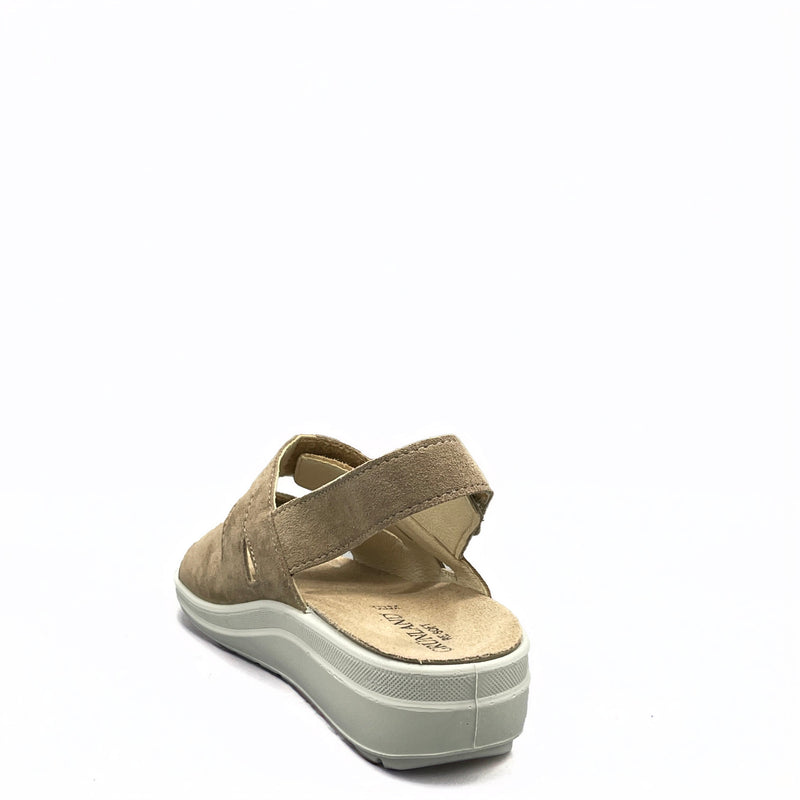 Grünland DABY - SE051259 - Corda