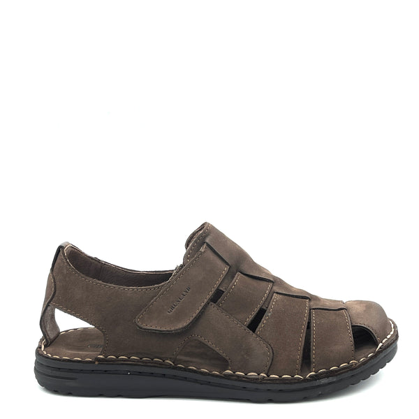 Grünland LAPO - SA2107 - Testa di Moro