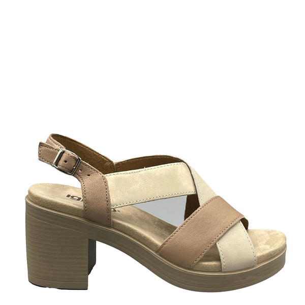 IGI&CO Aisha - 7674111 - Biscotto