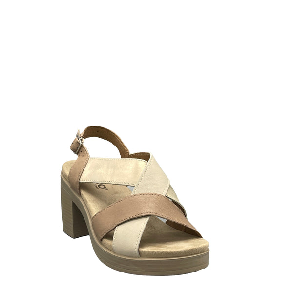 IGI&CO Aisha - 7674111 - Biscotto