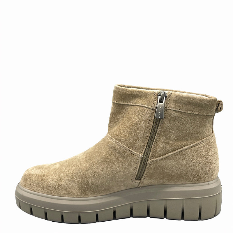 IGI&CO SAMANTHA - 8653022 - Biscotto