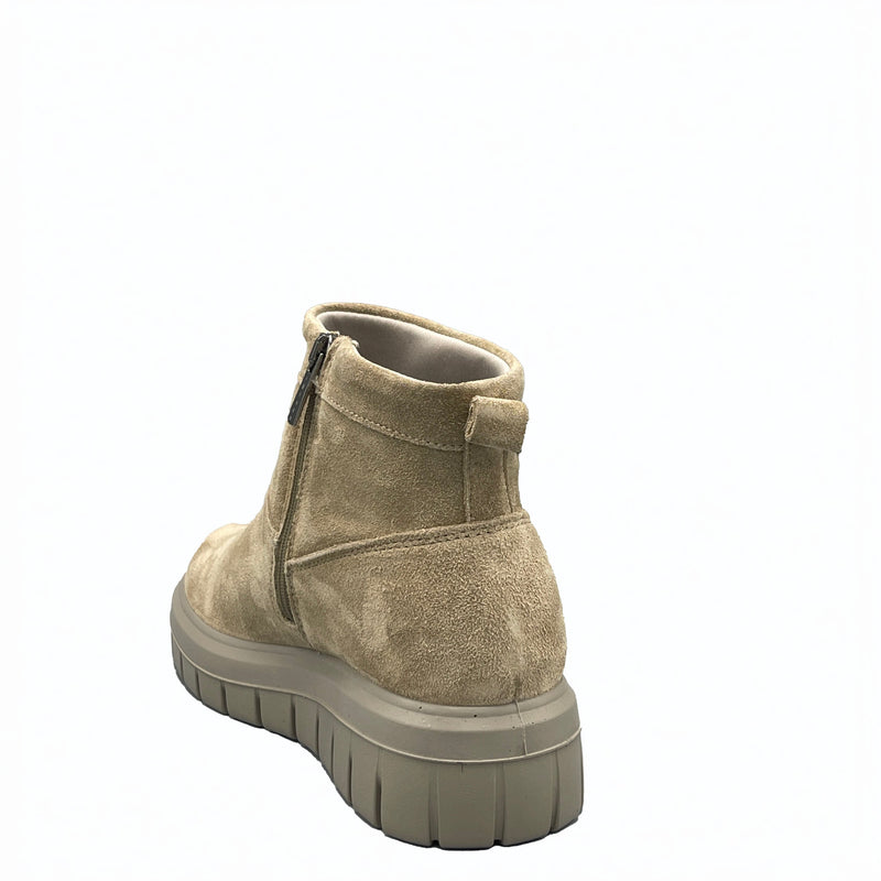 IGI&CO SAMANTHA - 8653022 - Biscotto