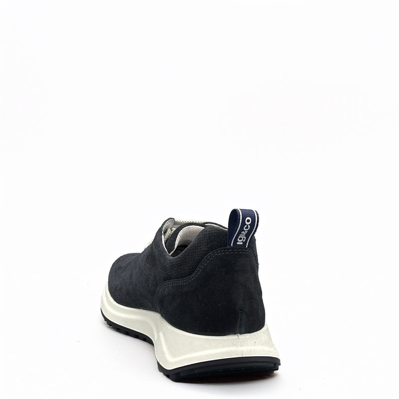 IGI&CO Saronno - 3629011 - Blu