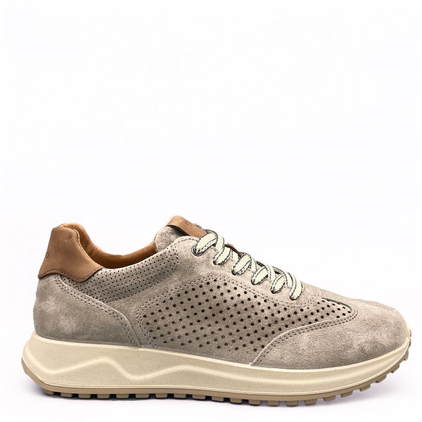 IGI&CO Saronno - 7634744 - Peltro