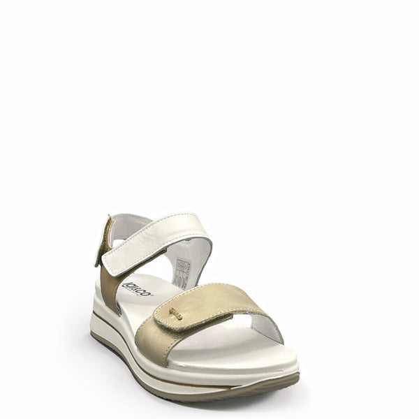 IGI&CO Sindy - 7675444 - Platino