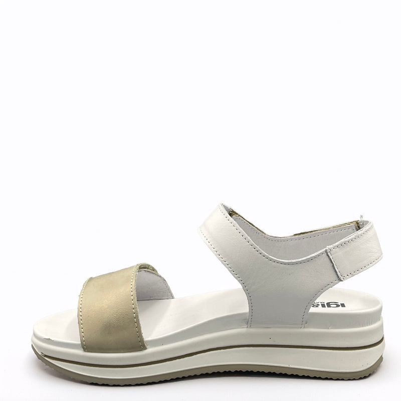 IGI&CO Sindy - 7675444 - Platino