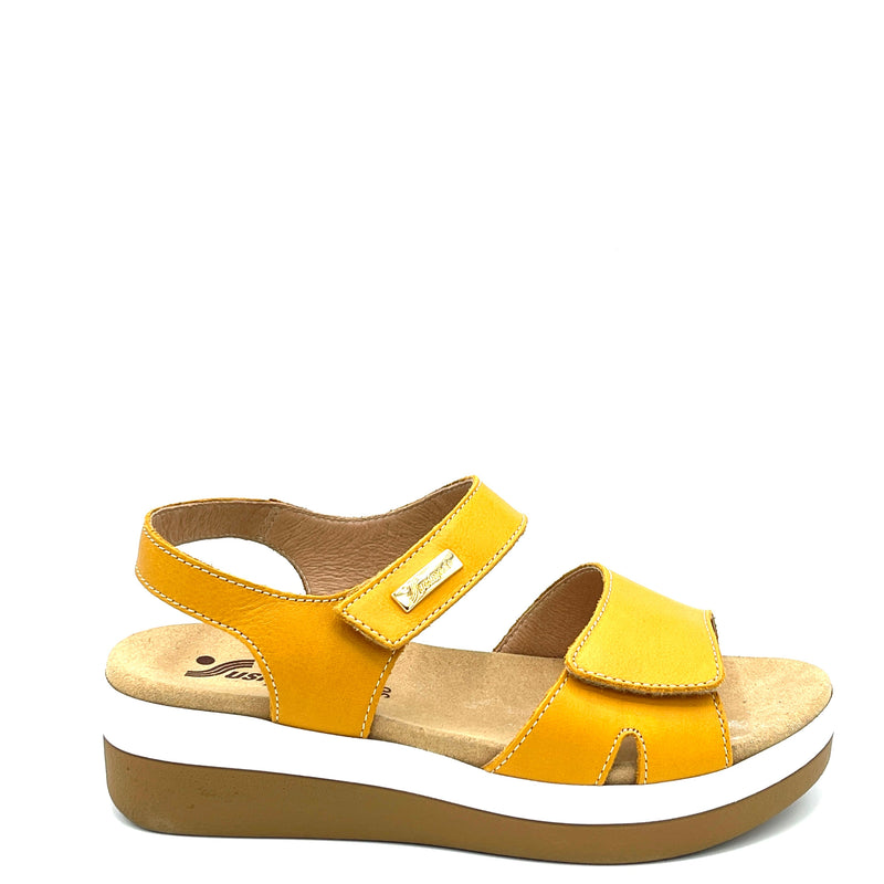 Susimoda Vega est - 37200 - Sun