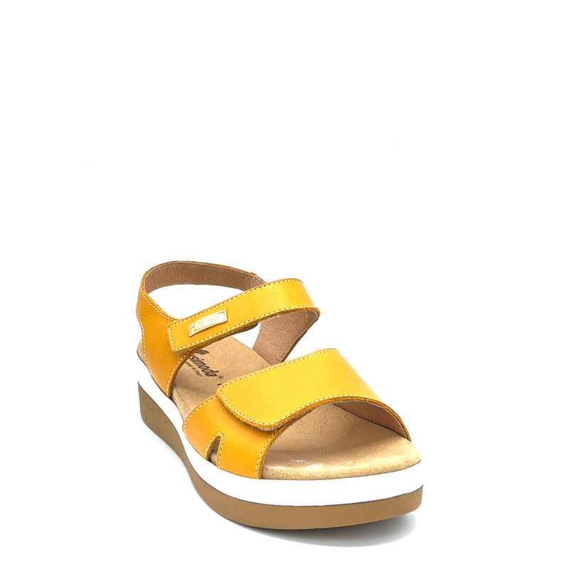 Susimoda Vega est - 37200 - Sun