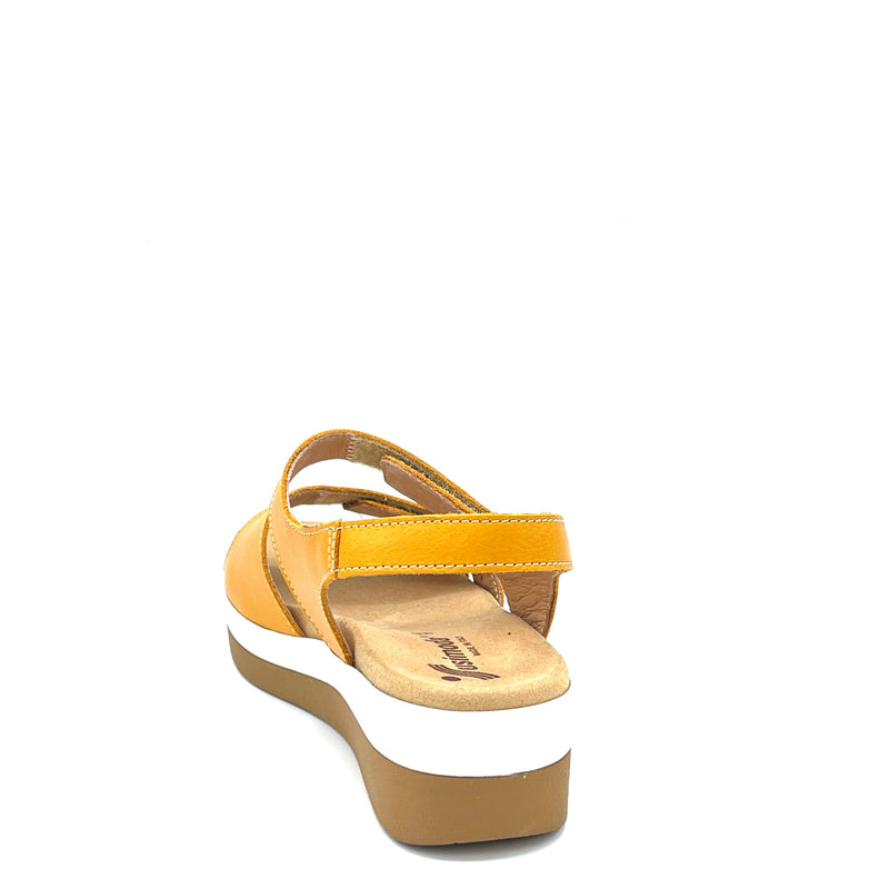 Susimoda Vega est - 37200 - Sun