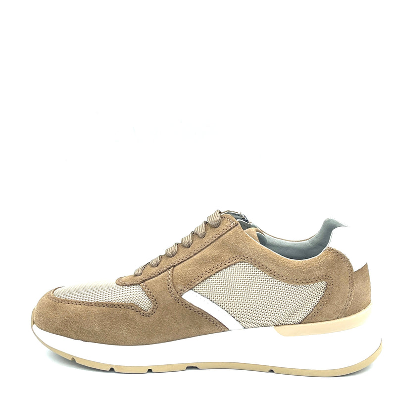 Valleverde Camoscio - 36845 - Tortora