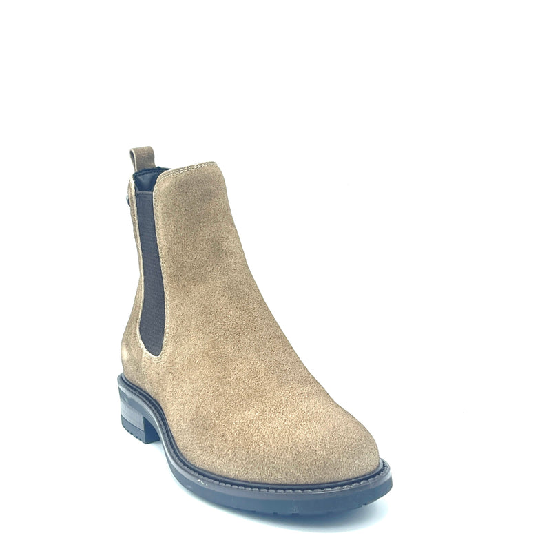 Valleverde Polacco - V47411 - Tortora