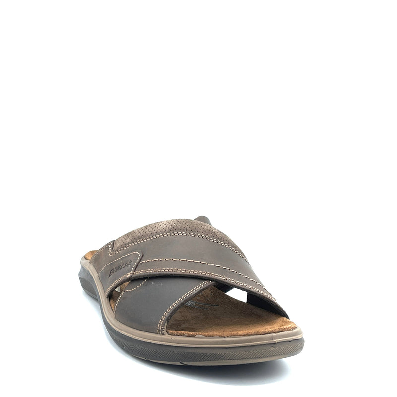 Enval U.Lark - 1713011 - T.Moro