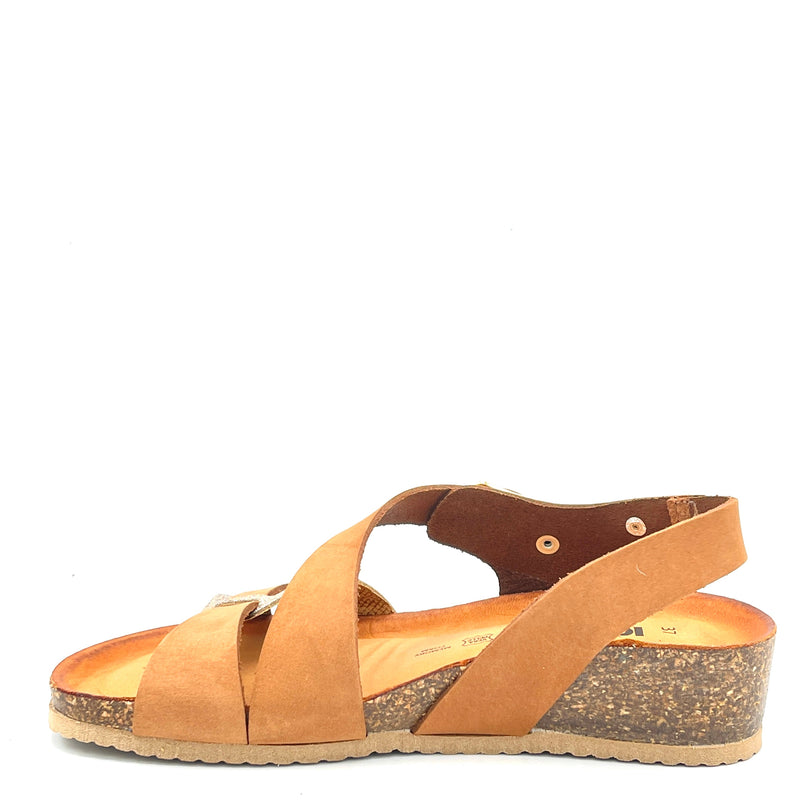 IGI&CO ANTIBES - 3696333 - Brandy