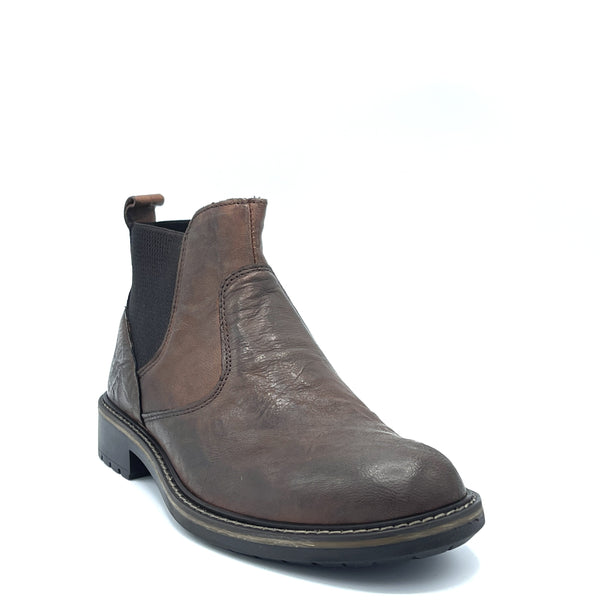 IGI&CO Calling Capra  Stropicc.- 8106222 - Legno