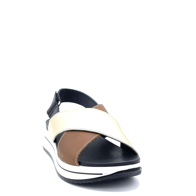 IGI&CO Vit.Vegetale/Biscott - 7161266 - Biscotto