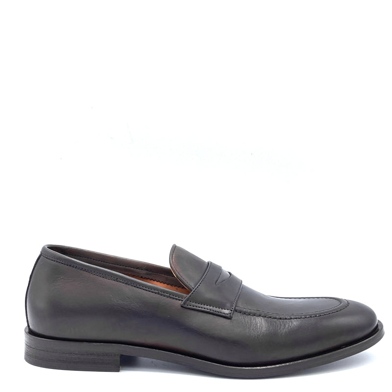 Rogal's Gold Vitello TDM  bocca di leone - T.Moro