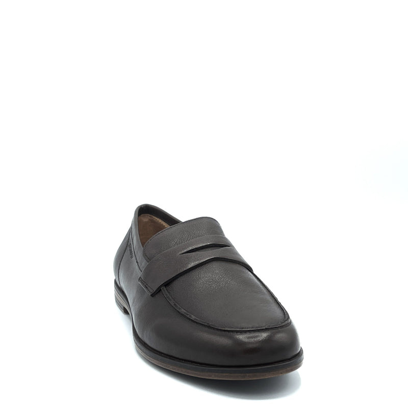 Stonefly Steve Calf - 213717 -  Turkic Coffee