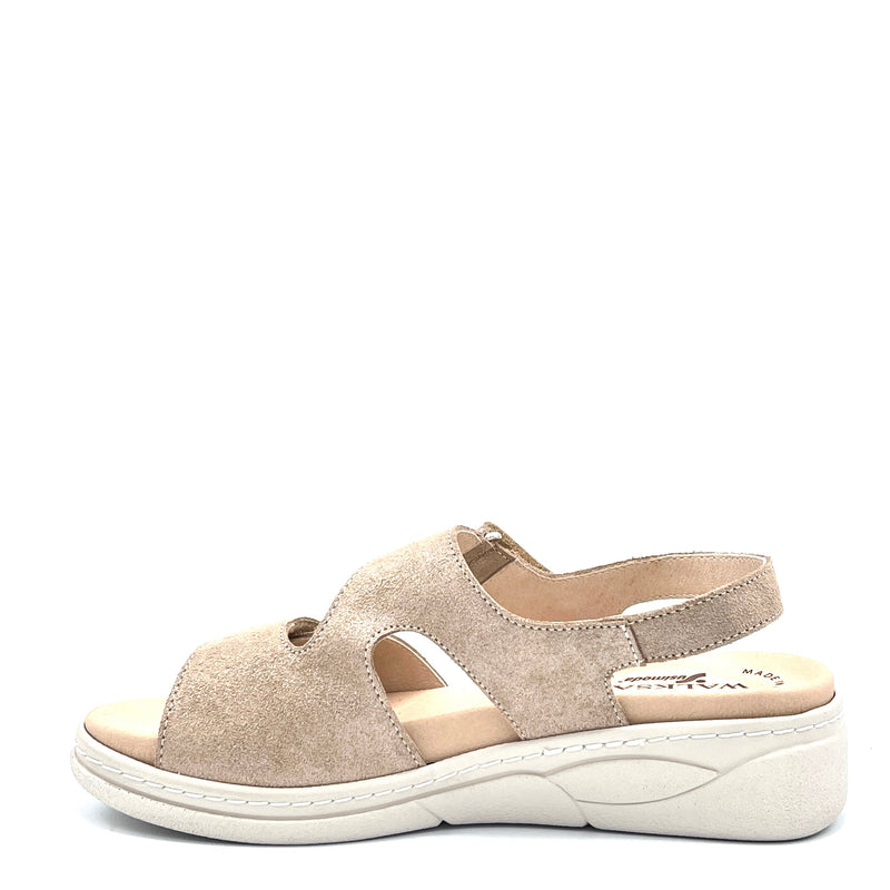 Susimoda Cosmo E. - 21120 - Peltro