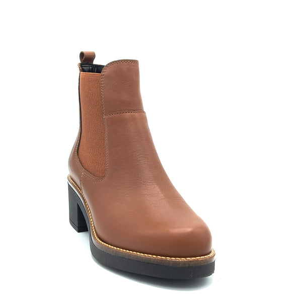 Susimoda VEGA - 82580-   Cognac