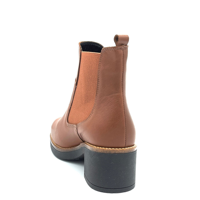 Susimoda VEGA - 82580-   Cognac